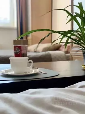 Фото к объявлению #22180186