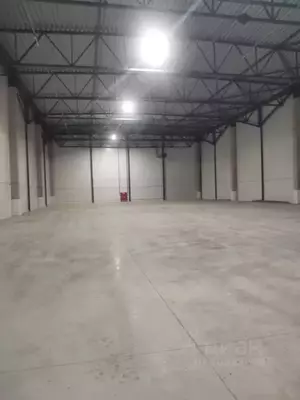 Фото к объявлению #21567760