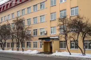 Фото к объявлению #21911850