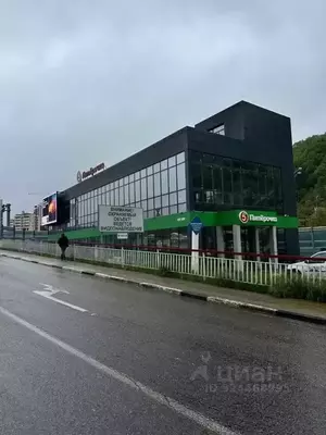 Фото к объявлению #22265521