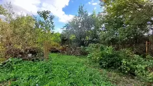 Фото к объявлению #22173195