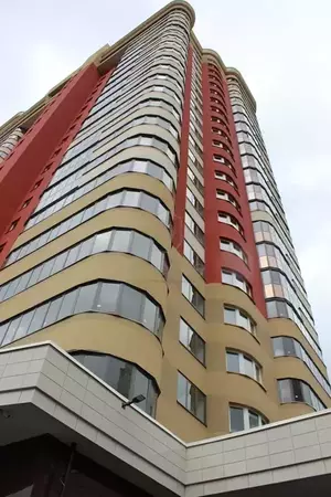 Фото к объявлению #21026075