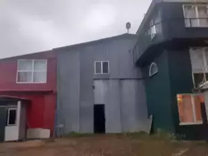 Фото к объявлению #19916981