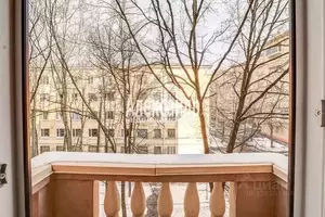 Фото к объявлению #22275395