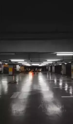 Фото к объявлению #22269161