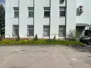 Фото к объявлению #20619176