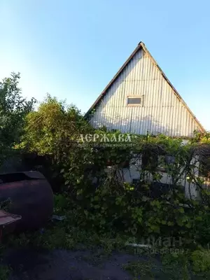 Фото к объявлению #20905329