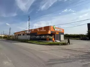 Фото к объявлению #22213128