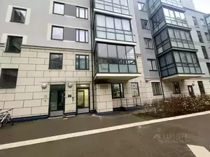 Фото к объявлению #21740546