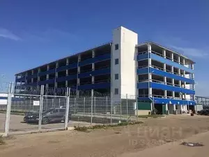 Фото к объявлению #22256360