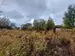 Фото к объявлению #