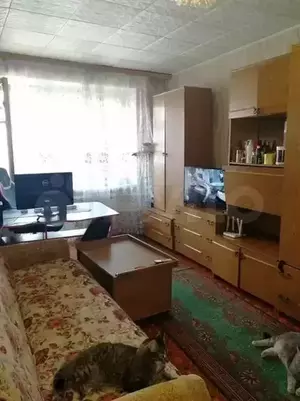 Фото к объявлению #20751286