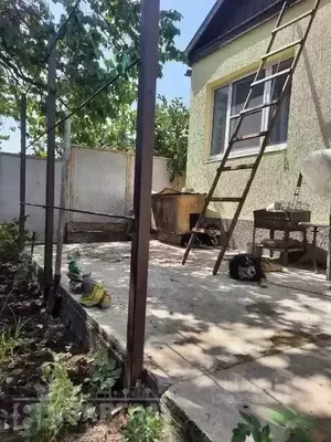 Фото к объявлению #22284084