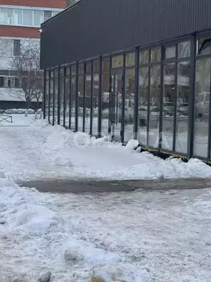 Фото к объявлению #22095520