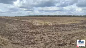 Фото к объявлению #21325381