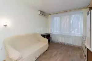 Фото к объявлению #22249509