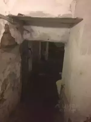 Фото к объявлению #22119117