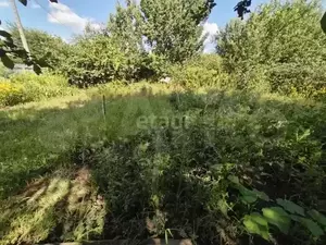 Фото к объявлению #21409509