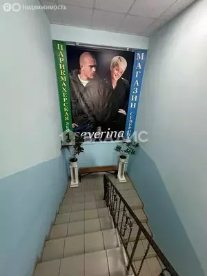 Фото к объявлению #21005127