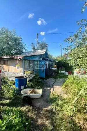 Фото к объявлению #22189782