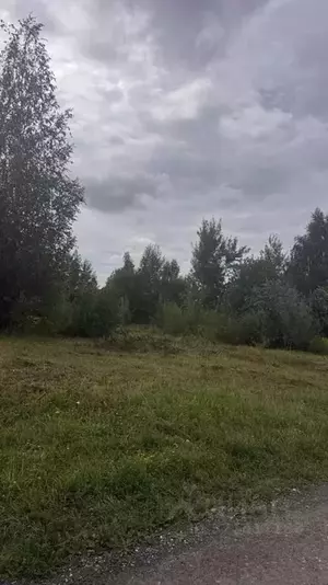 Фото к объявлению #22229628