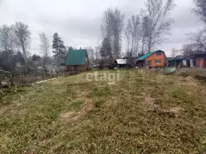 Фото к объявлению #21449411