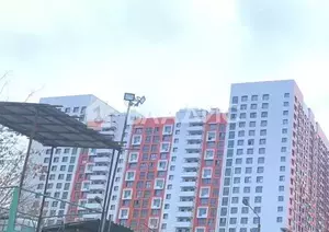 Фото к объявлению #19954343