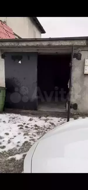 Фото к объявлению #20882783