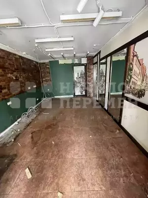 Фото к объявлению #22102819