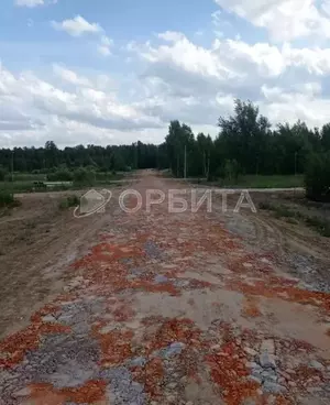 Фото к объявлению #22275084