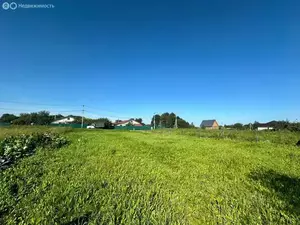 Фото к объявлению #21967913