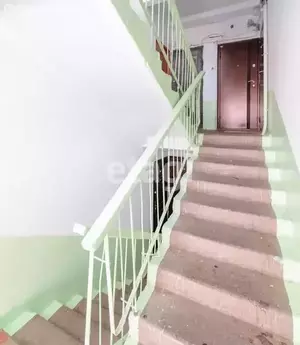 Фото к объявлению #21260773