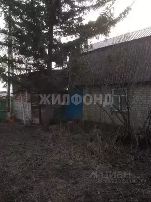 Фото к объявлению #22038529