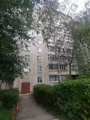 Фото к объявлению #19809575