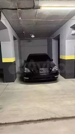 Фото к объявлению #20738834