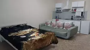 Фото к объявлению #22213359