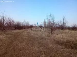 Фото к объявлению #21968978