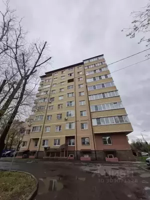 Фото к объявлению #21479570
