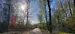 Фото к объявлению #