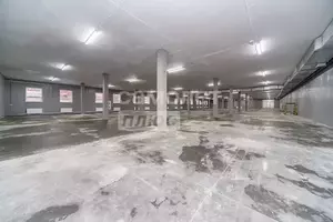 Фото к объявлению #22289876