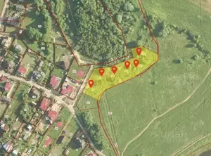 Фото к объявлению #21465598