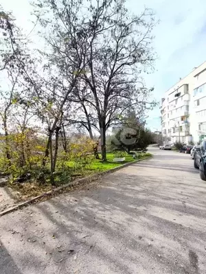 Фото к объявлению #22271775
