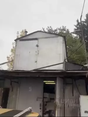 Фото к объявлению #22208162