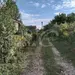 Фото к объявлению #