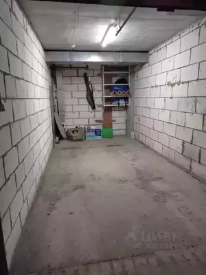 Фото к объявлению #20873117