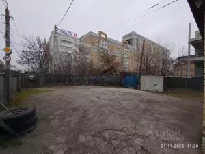 Фото к объявлению #22248079