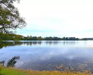 Фото к объявлению #22177330