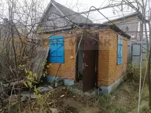 Фото к объявлению #20233382