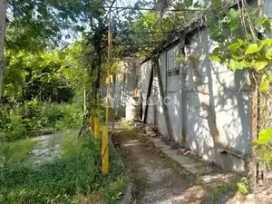 Фото к объявлению #22101350