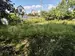 Фото к объявлению #